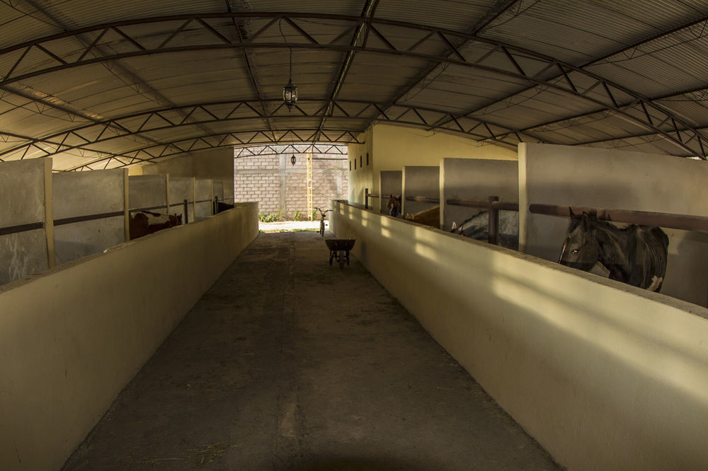 Teoticamp Hotel San Juan Teotihuacán Kültér fotó